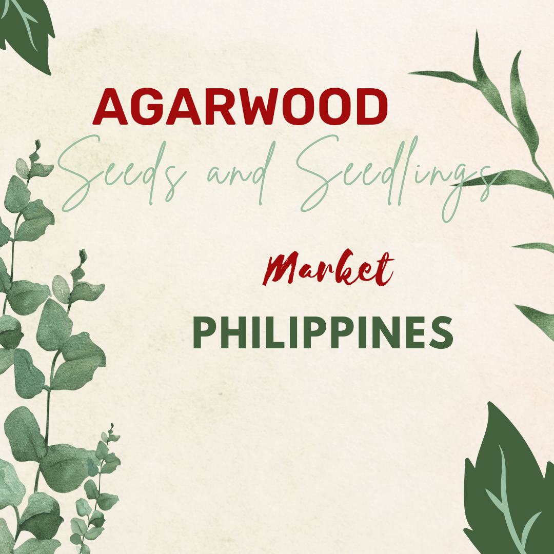 Agarwood Seeds and Seedlings Market Philippines logo